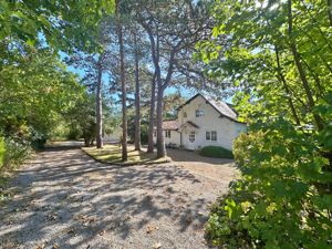 Photo 35- click for photo gallery